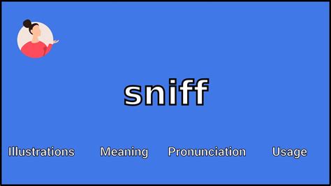 Sniffed Definition & Meaning